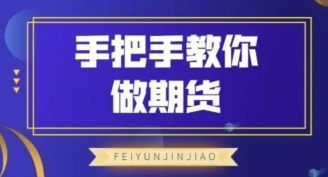 飞云金教《手把手教你做期货》视频教程|股海视频课