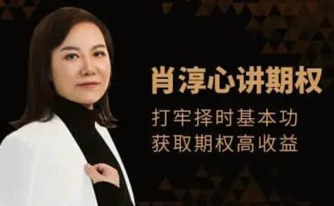 肖淳心《期权基础知识》入门视频|股海视频课