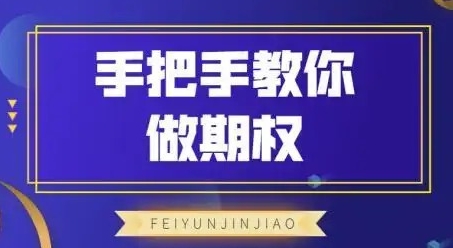 飞云金教《手把手教你做期权》视频教程