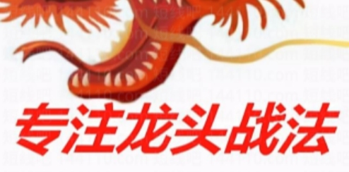 龙头战法，怎么挖掘龙头|股海视频课