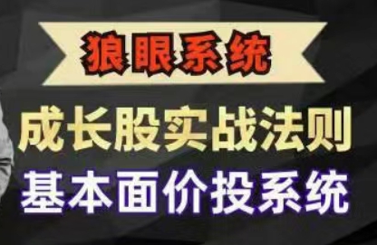 成长股实战法则，基本面价投系统|股海视频课