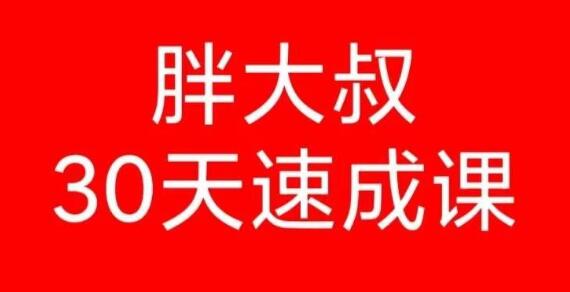 《胖大叔绝密炒股课程》30天速成班第一期+第二期|股海视频课