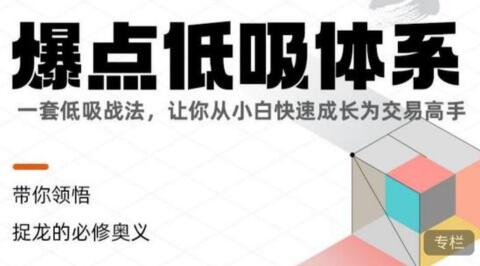 炒股教程《爆点低吸体系》小白快速成长为交易高手|股海视频课
